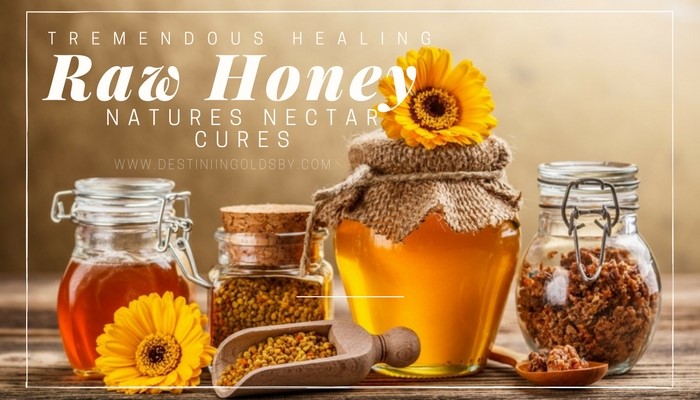  Yogurt And Raw Honey Mask Northwest Verdi NV